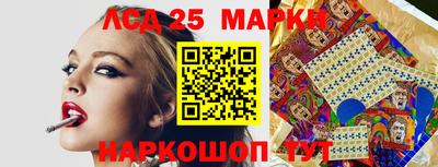 амф Сланцы