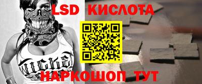 амф Сланцы