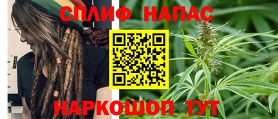 амф Сланцы