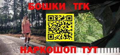 амф Сланцы