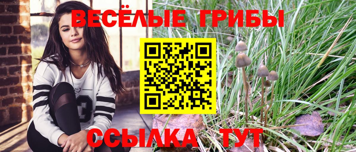 Павлово  Галлюциногенные грибы мицелий  Псилоцибиновые грибы ЛСД  хочу наркоту  Вход с VPN 
