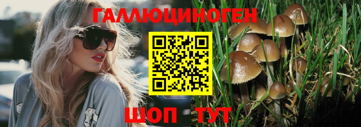 Псилоцибиновые грибы прущие грибы Павлово